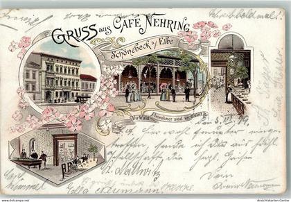 13638405 - Schoenebeck Elbe