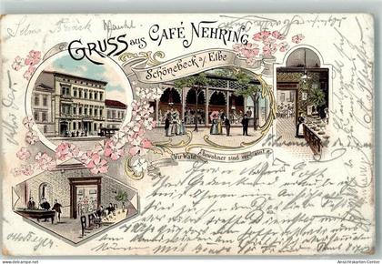 13640301 - Schoenebeck Elbe