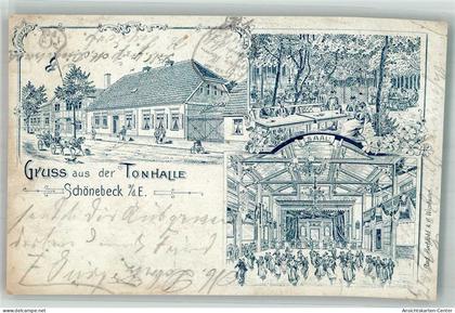 13666195 - Schoenebeck Elbe