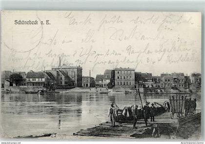 13932948 - Schoenebeck Elbe