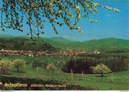 Schopfheim BW Panorama