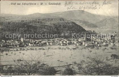 Schopfheim Totalansicht