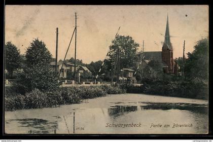 AK Schwarzenbeck, Partie am Börenteich
