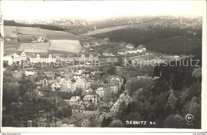 Sebnitz Panorama