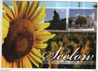 AK 258780 GERMANY - Seelow