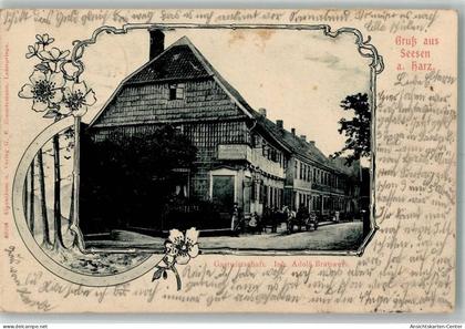 13563460 - Seesen , Harz