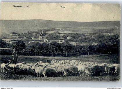 50817737 - Seesen , Harz