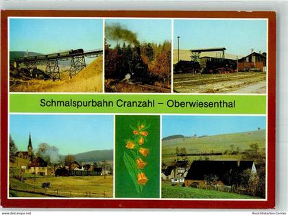 38034617 - Cranzahl