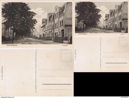 Ansichtskarte Senftenberg (Niederlausitz) Lindenstraße 1926