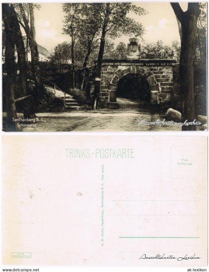 Ansichtskarte Senftenberg (Niederlausitz) Partie am Schloßtor 1928