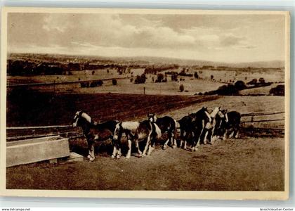 39548035 - Sinsheim , Elsenz