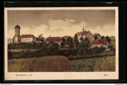 AK Sinsheim a. E., Blick auf das Stift
