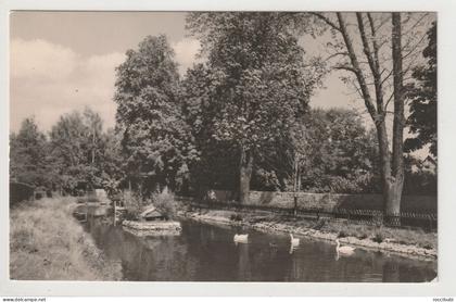 Kölleda, Kreis Sömmerda, Schwanenteich, Thüringen