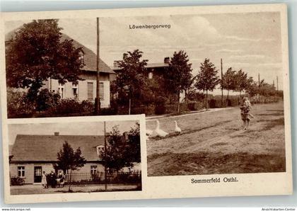 13465766 - Sommerfeld b Velten