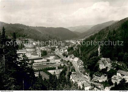 St Blasien Panorama