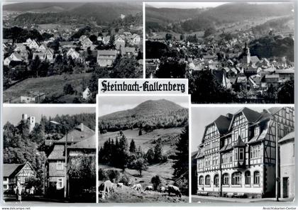 50989766 - Steinbach-Hallenberg