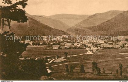 Tabarz Panorama