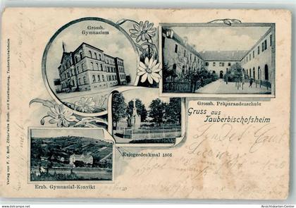 13275405 - Tauberbischofsheim