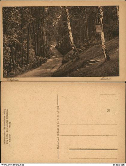 Ansichtskarte Taucha Waldpfad Dewitz 1928