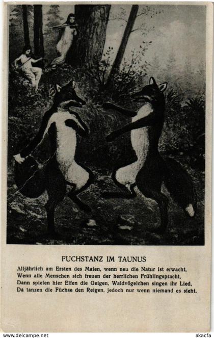 CPA Taunus Fuchstanz im Taunus GERMANY (931024)