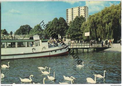 Berlin-Tegel - Dampferanlegestelle und Strandpromenade - Dampfer Falke - Andres + Co. Verlag Berlin