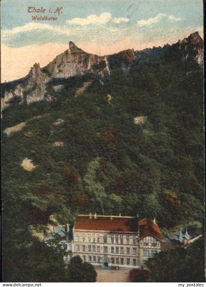 Thale Harz Thale Waldkater