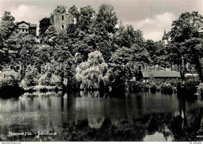 Tharandt Schlossteich