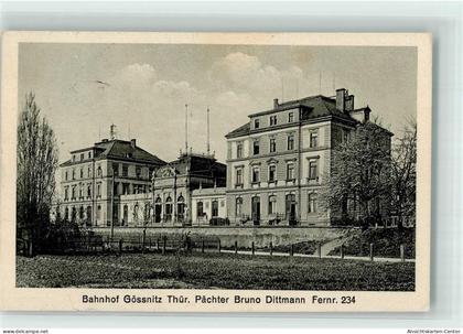 13287659 - Goessnitz , Thuer