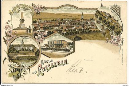 Gruss aus Rossleben, 1898 gebr. Litho AK m. Bahnhof u. Zug.