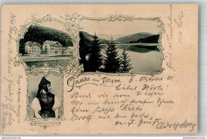 13303879 - Titisee Titisee-Neustadt