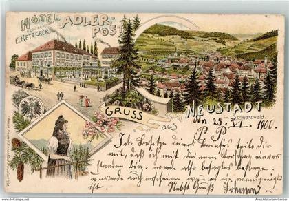 13487281 - Neustadt Titisee-Neustadt