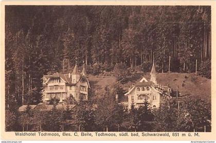39110632 - Todtmoos. Waldhotel Todtmoos. Karte beschrieben Gute Erhaltung.