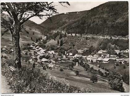 Todtnau Schwarzwald BW Aftersteg