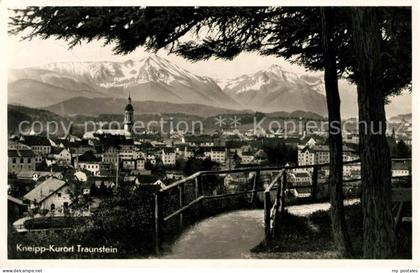 Traunstein Oberbayern Panorama