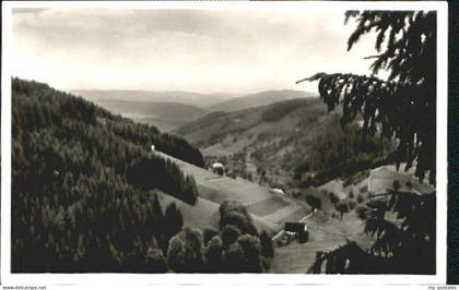 Triberg Schwarzwald Nussbachtal bei Triberg