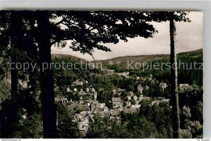 Triberg Schwarzwald Teilansicht