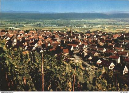 Hirschau Tuebingen Panorama