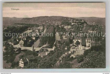 TueBINGEN BW Fliegeraufnahme