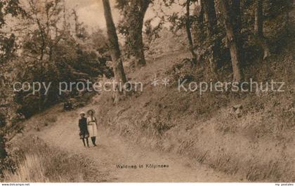 Koelpinsee Usedom Waldweg
