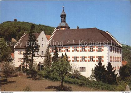 Waldshut-Tiengen Schloss