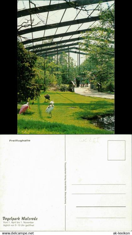 Ansichtskarte Walsrode Vogelpark Walsrode Freiflughalle 1980