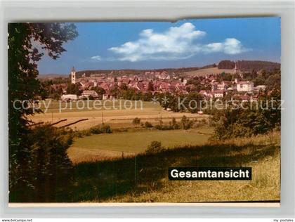 Wangen Allgaeu Panorama