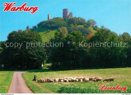Warburg Westfalen Desenberg Burgruine Schafherde