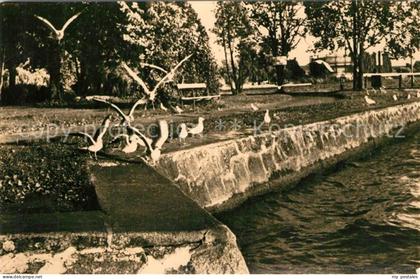 Waren Mueritz Uferpromenade an der Mueritz Mecklenburgische Seenplatte