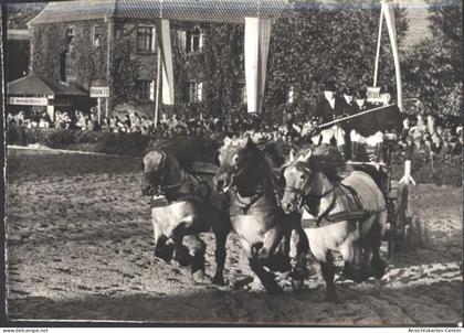 13808477 - Warendorf