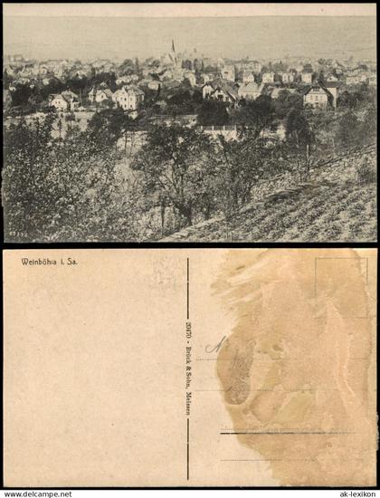Ansichtskarte Weinböhla Blick auf die Stadt 1917