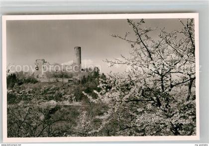 Weinheim Bergstrasse Burgruine Windeck