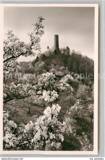 Weinheim Bergstrasse Burgruine Windeck