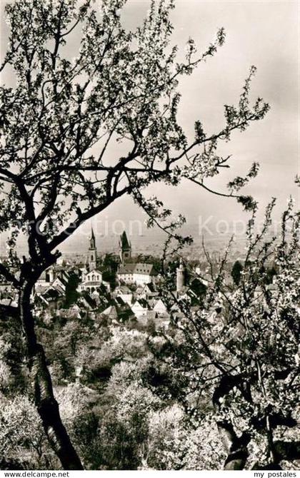 Weinheim Bergstrasse Panorama