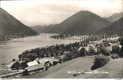 Naggl Weissensee Panorama